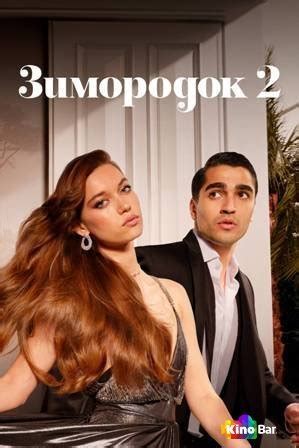 Зимородок 2 сезон 1-25 серия смотреть онлайн в хорошем качестве