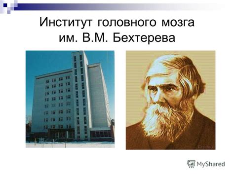 Презентация на тему: "Урок биологии 8 класс Учитель: Пивоварова И.А ...