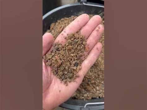 ГРУНТ СУБСТРАТ ДЛЯ ХАВОРТИЙ HAWORTHIA SOIL FOR SUCCULENTS - YouTube