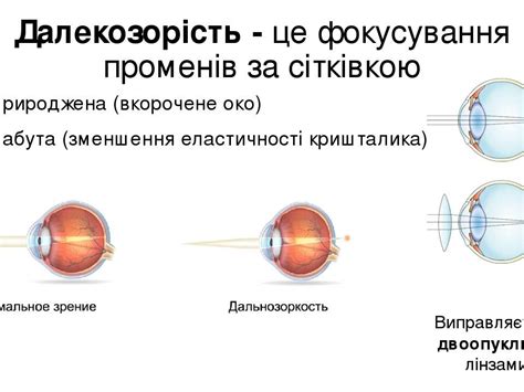 Цікавинки - презентація з екології