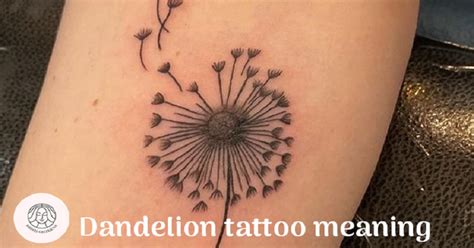 Dandelion Tattoo Meaning: +1 Must Read Before You Get Inked!