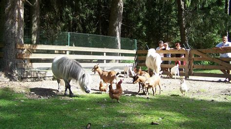 Скопје Зоо добива мини зоолошка градина за најмладите – gradina.mk