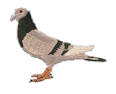 Pigeon Design Sew-on Patch pigeons.co.uk
