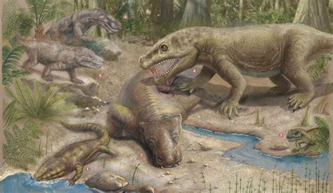 How Life on Land Recovered After “The Great Dying” Mass Extinction Event