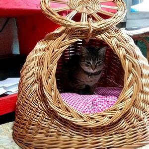 Wicker Cat Bed, Cat Cave, Wicker Cat Basket, Wicker Cat House, Cat ...