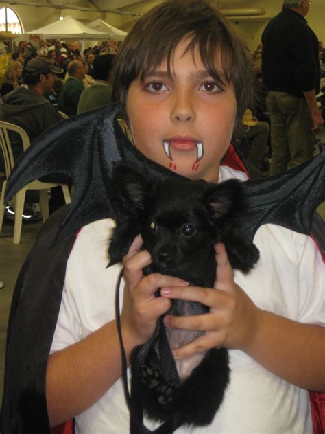 Ugly Dog Contest - Leash Your Fitness