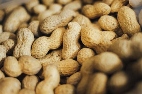 Peanut allergy treatment significantly lowers risk of life-threatening