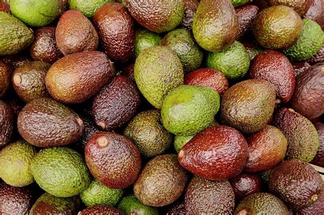 Unripe Avocado SOS: How to Save Your Hard Fruit (and Your Meal!) - Hunter Games Magazine