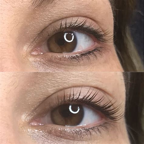 Pin by Erica Holt on Lash lifts and tint | Lash lift, Lashes, Tints
