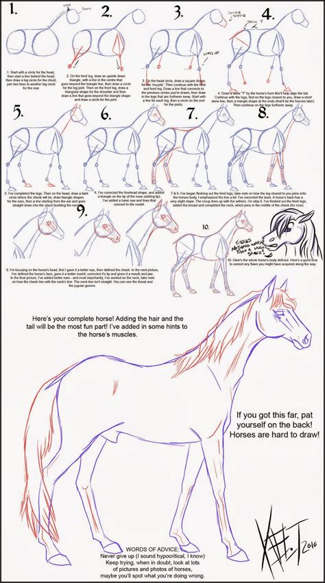 SERIOUSLY HORSING AROUND: Fun graphic on HOW TO DRAW A HORSE