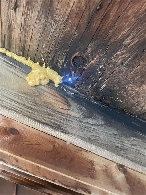 AC condensation line failure? Major water leak in kitchen ceiling