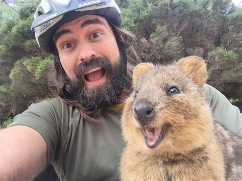 The Quokka Is Called the “World’s Happiest Animal,” and Here Are 22 ...