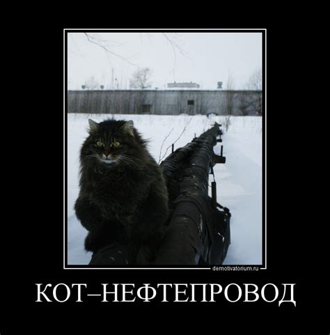 Демотиватор КОТ–НЕФТЕПРОВОД