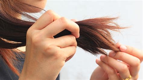 5 Cheap Natural Products Dermatologists Swear By For Split Ends - SHEfinds