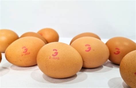 alasan pentingnya mencetak expired date  produk gressler