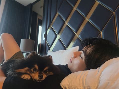 K-Netizens Create The First Dog Idol Group Using Idol's Pets - And It's ...