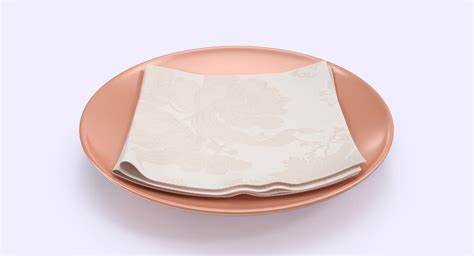 3d Model Napkin