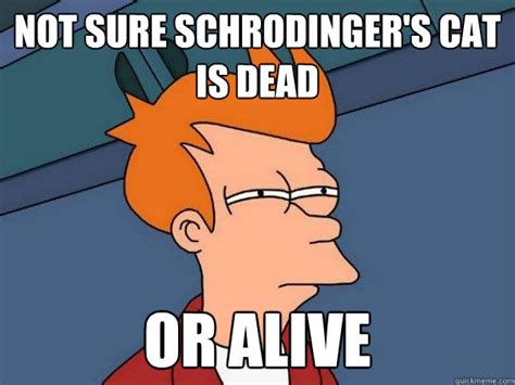 Not sure Schrodinger's cat is dead or alive - Futurama Fry - quickmeme