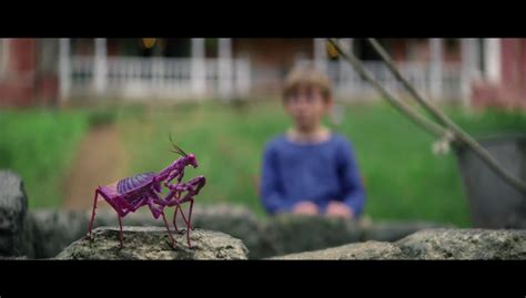 film color   space de richard stanley  dark side reviews