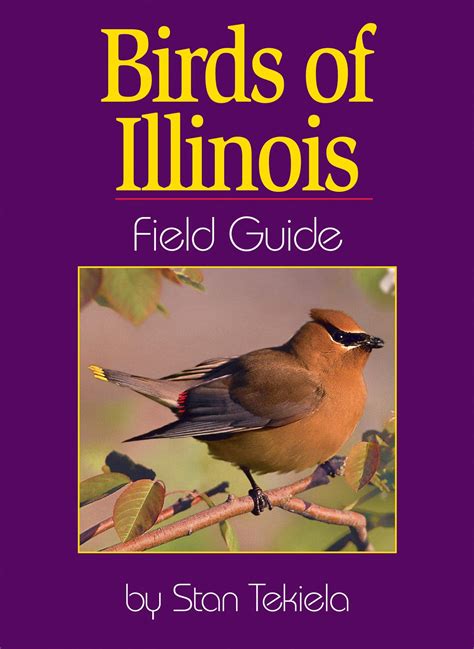 Birds of Illinois Field Guide - Flying Friends