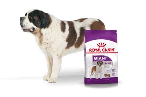 Royal Canin Giant Adult online kopen? → Dierencompleet.nl