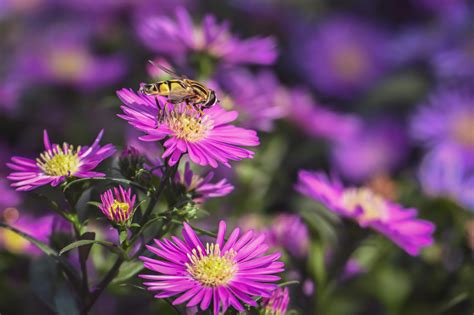 Big+Boob+Wallpapers Photos, Download The BEST Free Big+Boob+Wallpapers