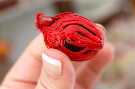 Необычные семена и растения, которые из них вырастают