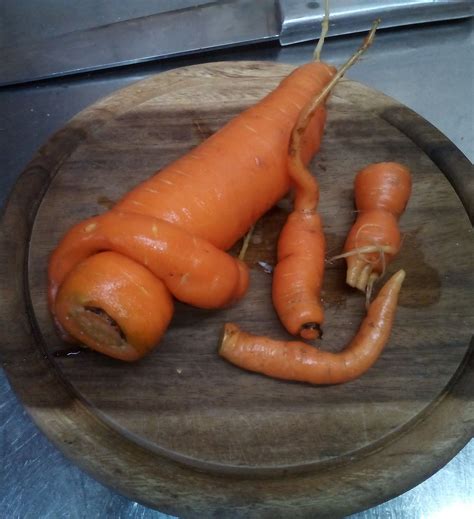 Was Gemüse so alles bewirken kann - Liezen