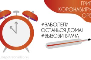 Белая роза