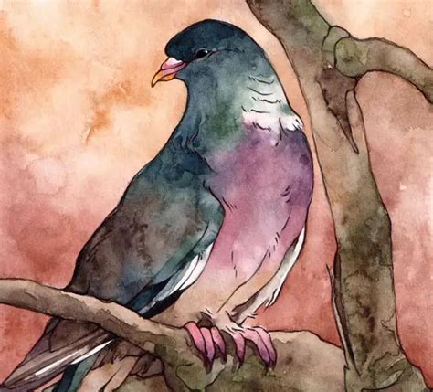 The Symbolism Of Pigeon: Mystical Spiritual Meaning - Bird Guidance