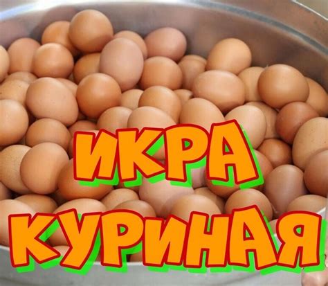 Патрушев-младший рассказал, когда в России | Санкт-Петербург Live