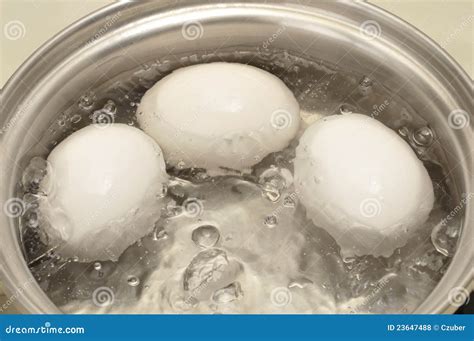 Eggs boiling stock photo. Image of nutrition, health - 23647488