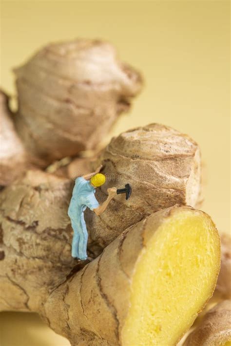 A Miniature Worker Harvesting a Ginger Root with a Hammer Stock Image ...