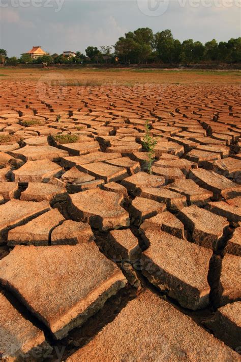 Barren 1318046 Stock Photo at Vecteezy