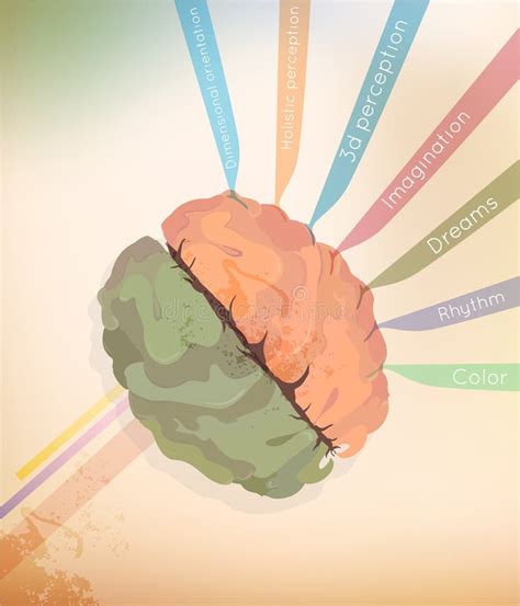 The brain stock illustration. Illustration of brainstorm - 53192738