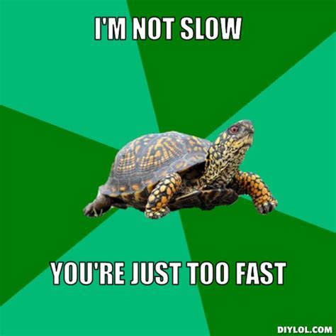 Being Slow Meme