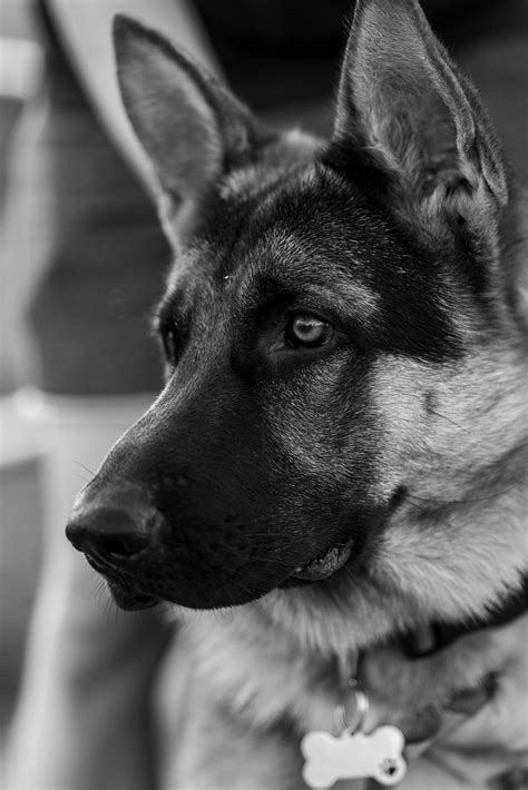 Naked+Anime+Girls+Wallpapers+For+Pc Photos, Download The BEST Free