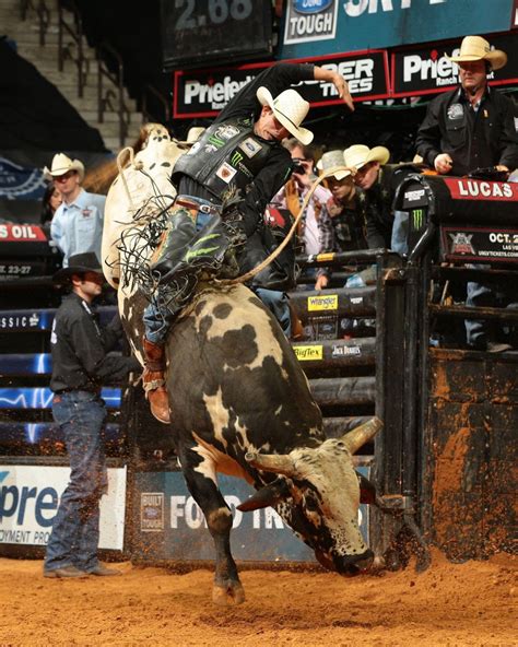 Download Bull Riding In Madison Square Garden Wallpaper | Wallpapers.com