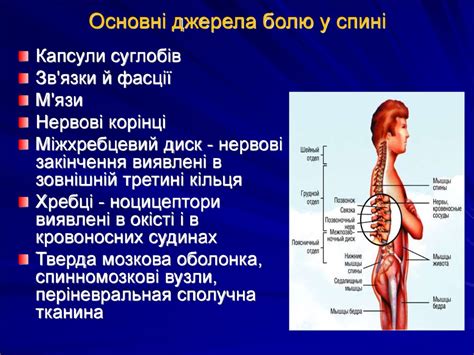 Нейропатичний біль (діагностика, клініка, лікування) - презентация онлайн