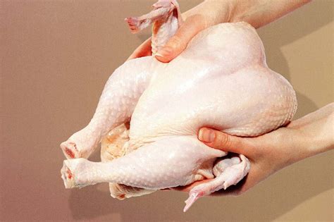 Medium rare chicken?!? - Page 4 - Cooking, Cookbooks, Ingredients ...