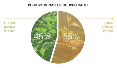 SUSTAINABILITY - Gruppo Carli