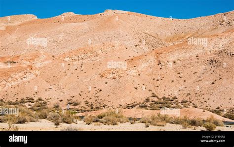 Mojave Desert, California Stock Photo - Alamy