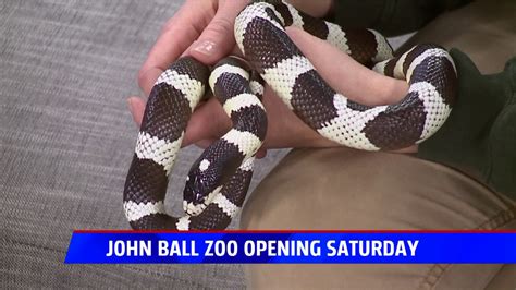 John Ball Zoo opens for the season on Saturday