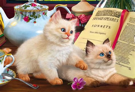 Пазл котята у книги - разгадать онлайн из раздела "Картины" бесплатно