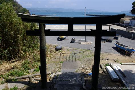 Tashirojima - Cat Island