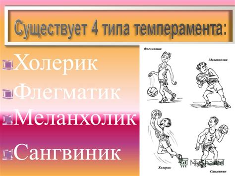 Презентация на тему: "Холерик Флегматик Меланхолик Сангвиник Сангвиник ...