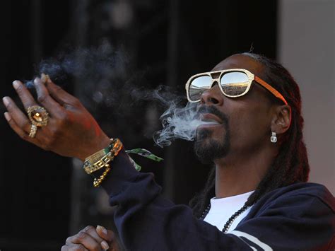 Snoop Dogg lanzará una enciclopedia cannábica — Rock&Pop