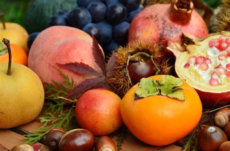 Outono É A Estação Das Frutas - Outono: 5 frutas e legumes da época - Agilcare | Plano de Saúde + Plano ...