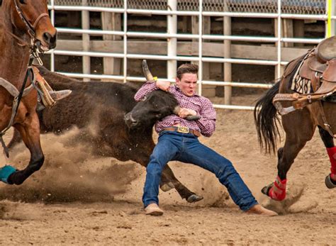 The Art Of Steer Wrestling: How To Bulldog A Steer – Bullifieds Blog