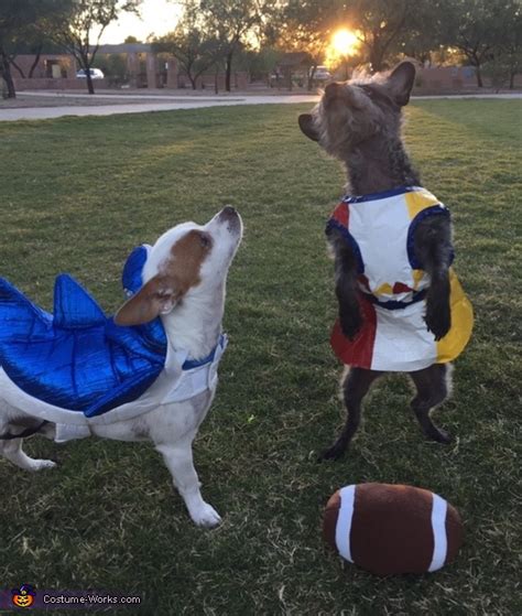 Katy Perry and Left Shark Dogs Costume | No-Sew DIY Costumes